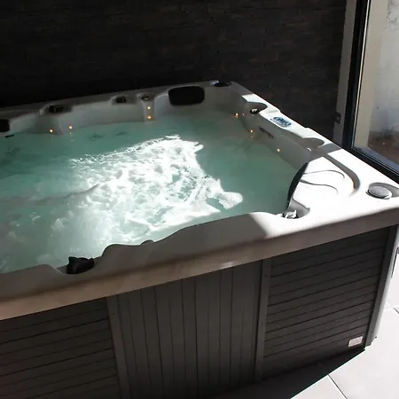 Maison Avec Piscine, Jacuzzi Et Sauna Privatifs - Mas De Nebbas Villa *